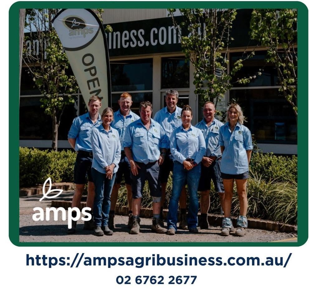 amps ag